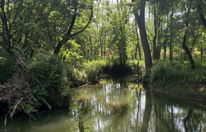 photo-gallery